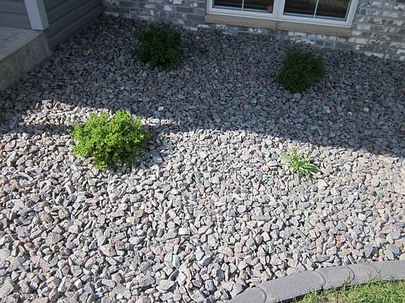 Fully Landscaped Yard