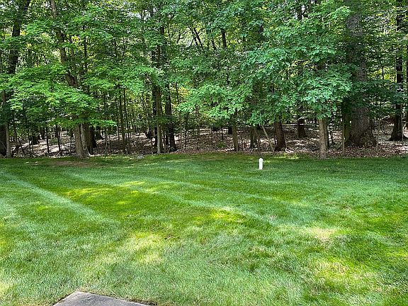 Backyard view