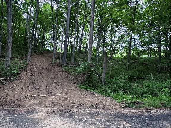 2nd image of Walker Hill Rd #10.11