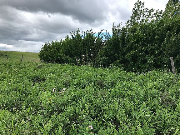 4th image of 574 Sullivan Crossroad