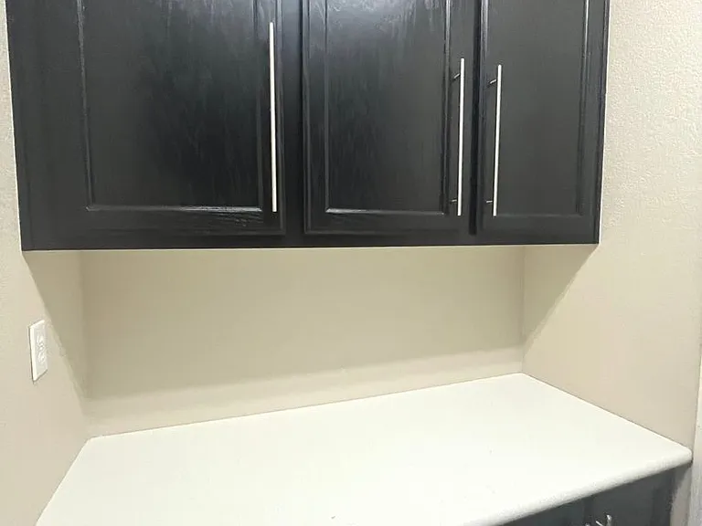 1667 Tangerine Rose Dr — Photo 38