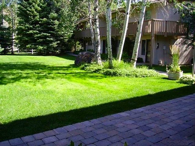 Outside of Unit Summer
