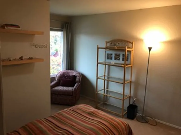 215 Calle De Madera — Photo 10