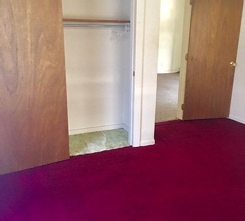 5th image of 517 Davids St