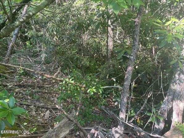 LOT 68 Sycamore St, Sevierville, TN 37876