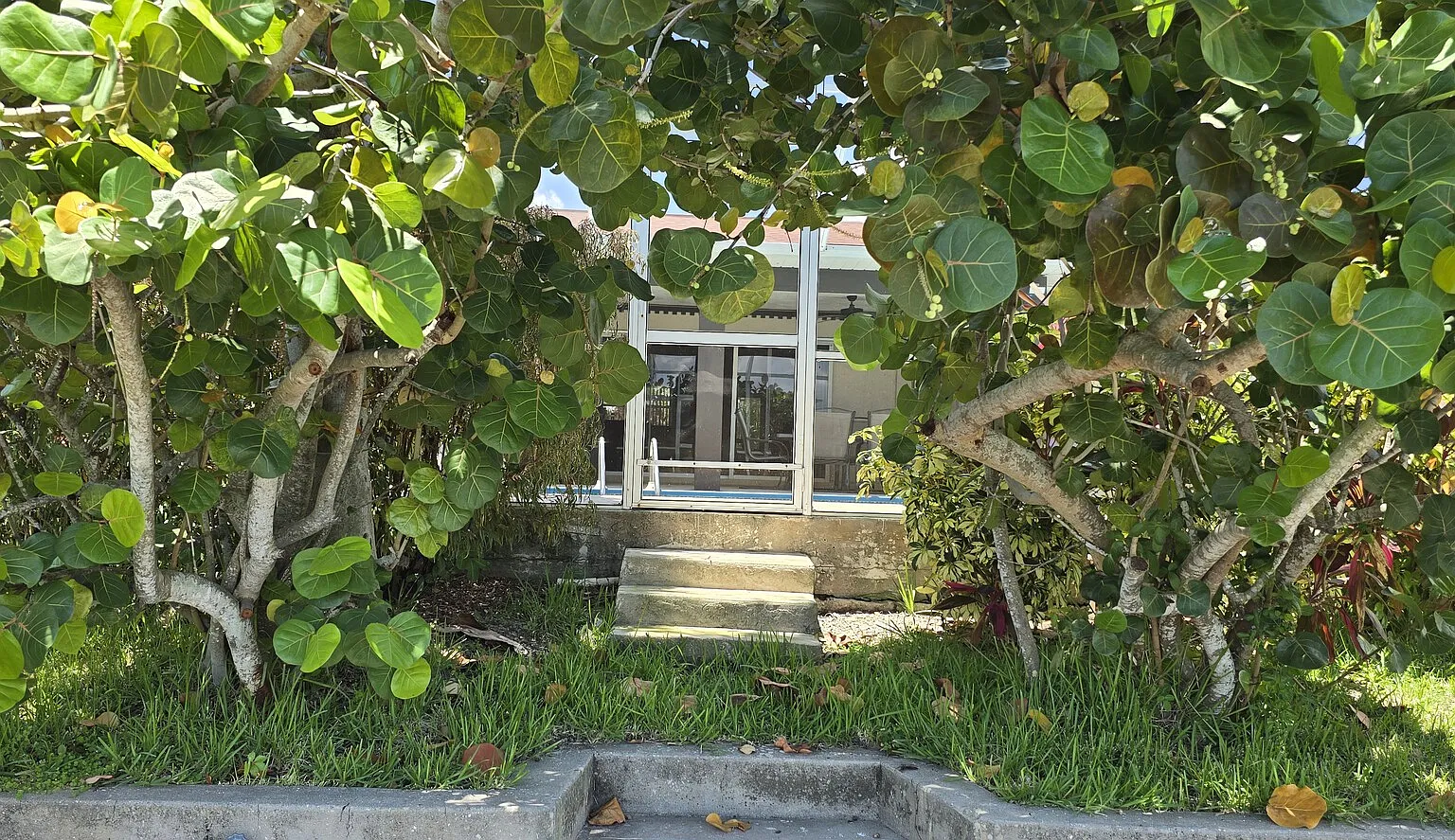 Sunny Paradise — Photo 4