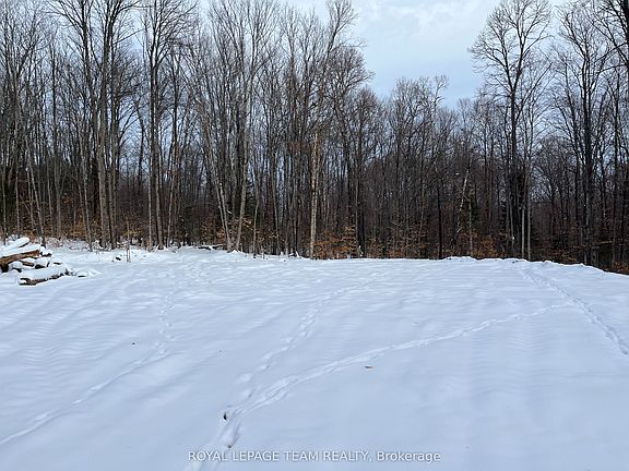 3rd image of 1 Siberia Rd