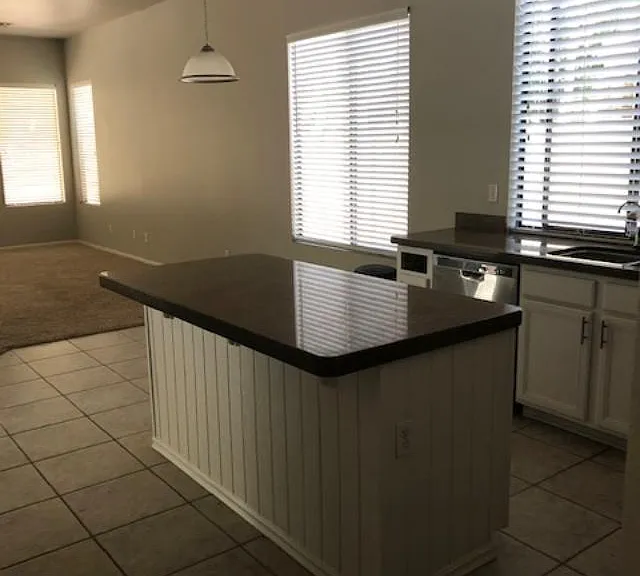 694 W Desert Broom Dr — Photo 12