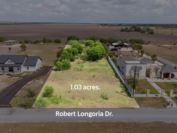 0 Roberto Longoria Dr, Santa Rosa, TX 78593