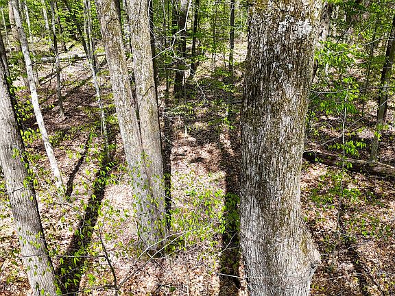 5th image of 0 E County Road 550 N
