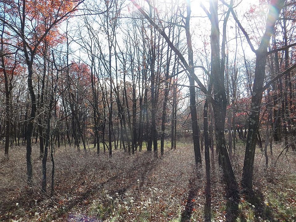 2nd image of 0 Patten Cir