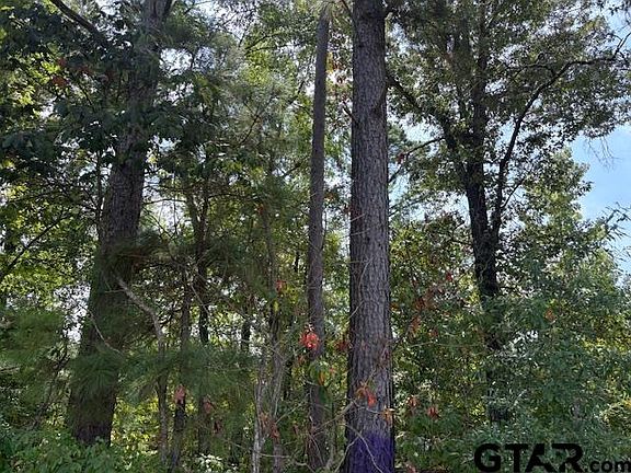 5th image of 1395 County Road 3405