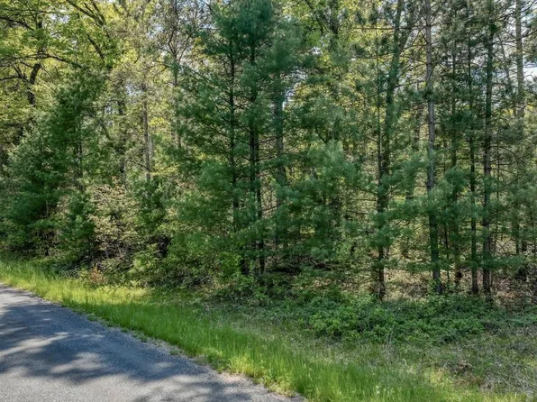 8667 LAKESIDE ROAD, Willard, WI 54493
