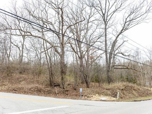 19 & Lot 18, Carpentersville, IL 60110