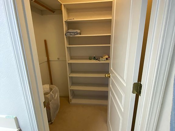 Walk in closet in bathroom.
