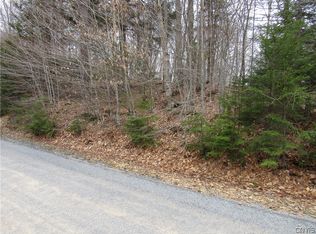 Palisades Rd W LOT 22, Old Forge, NY 13420