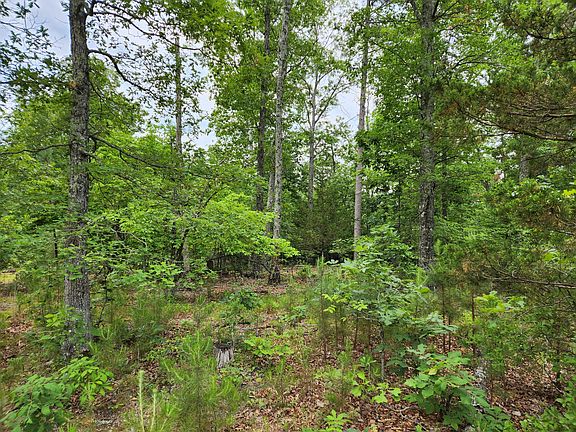 4th image of 11530 County Road 437