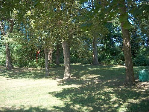 backyard (west of house)