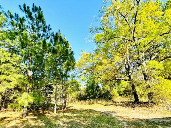 0 Adams Run, Douglas, GA 31533