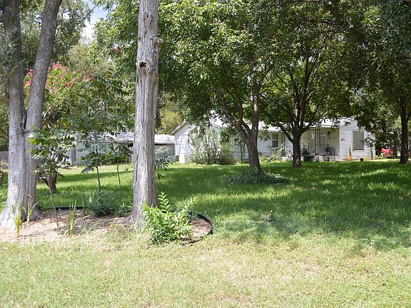 Huge Pecan trees