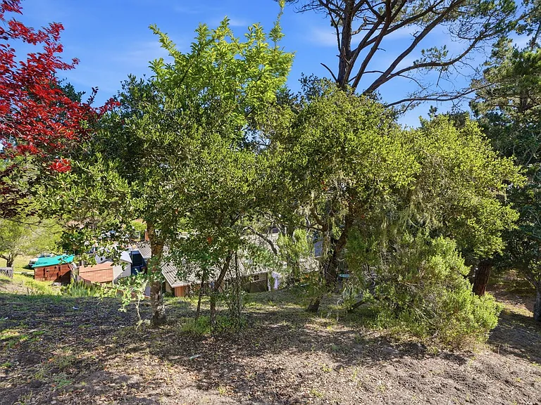 241 Soledad Dr — Photo 42