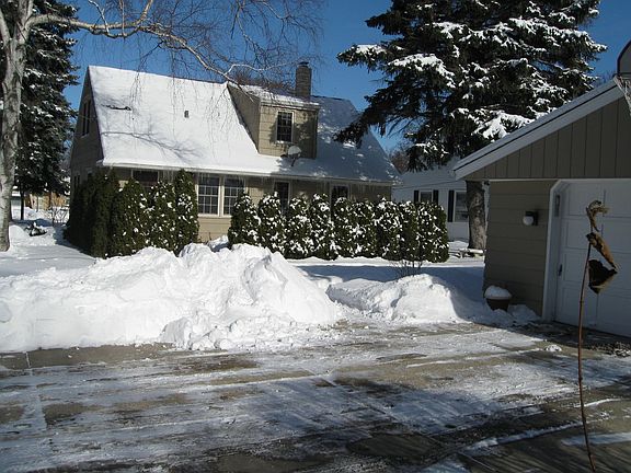 Part of the backyard and garage
