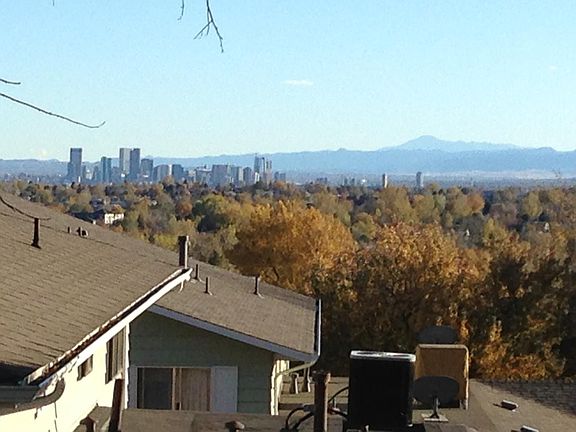 View from your patio and living room window!