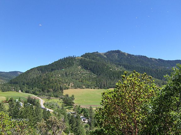 Backyard View