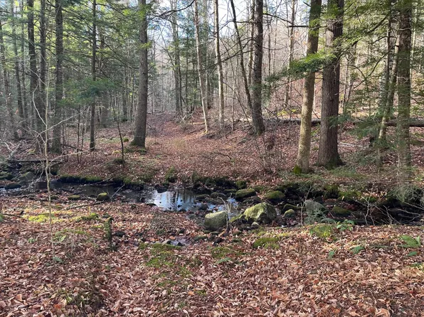 0 Gould Road, Chester, VT 05143