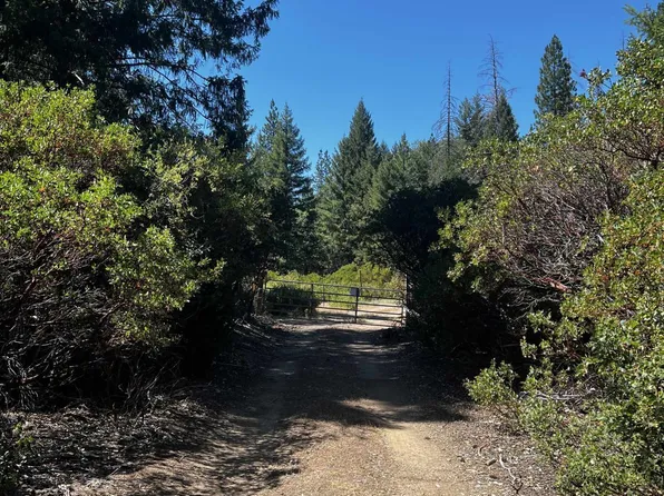41 E Van Duzen Rd, Bridgeville, CA 95526