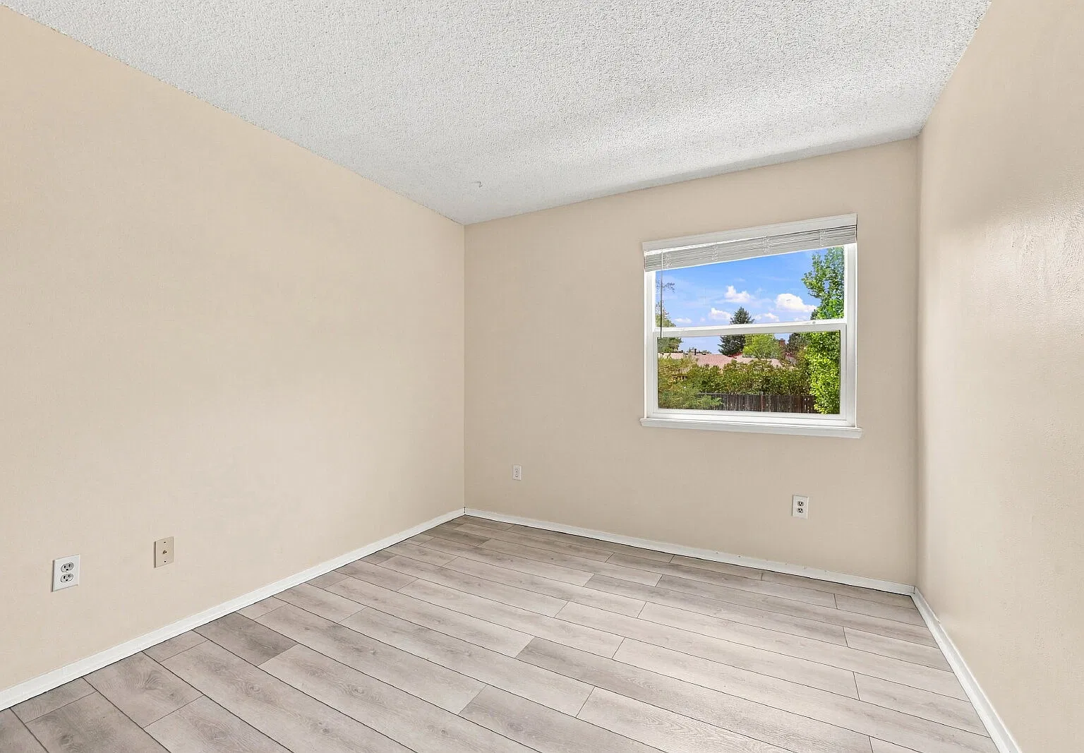 2 bed, 1.0 bath, 817 sqft, $1,341 — Photo 4