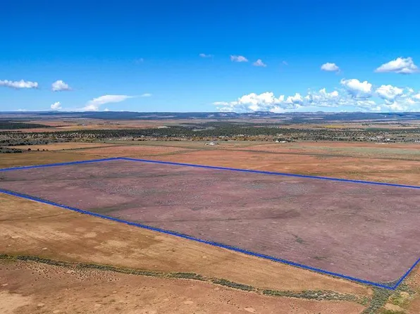 TBD County Road 101, Hesperus, CO 81301