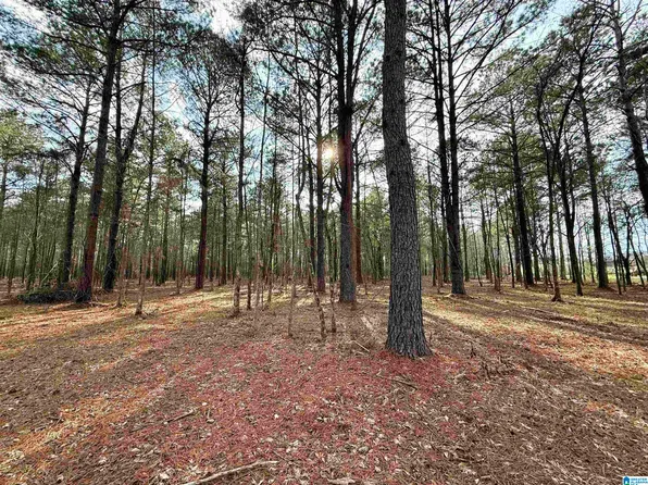 16 Club House Rd #16, Sylacauga, AL 35150