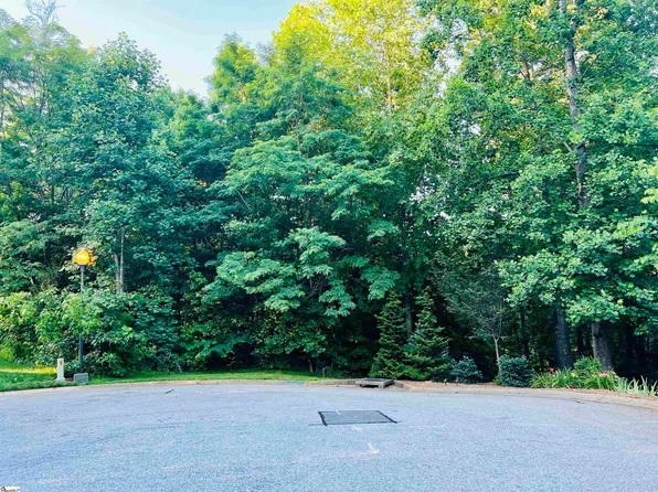 20 Savage Ct, Travelers Rest, SC 29690