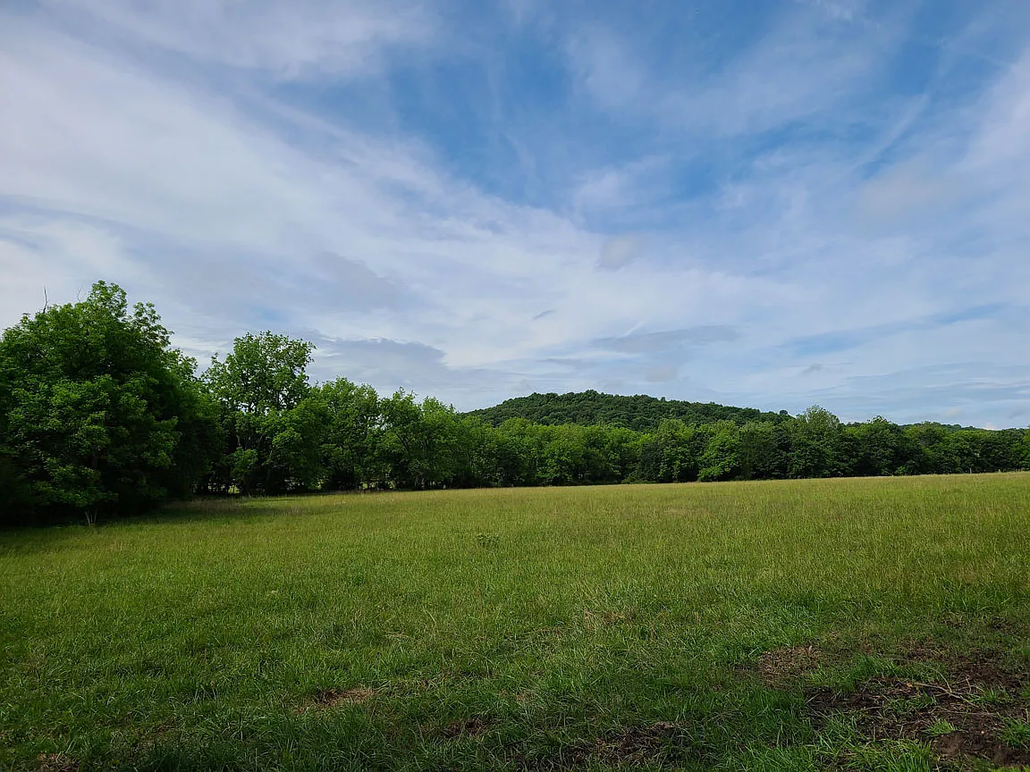 2 bed, 650 sqft, $795 — Photo 3