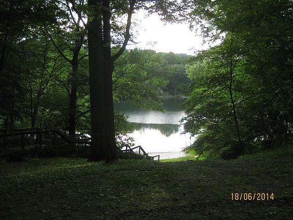 Swim, boat, and fish!