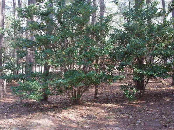 7629 Sunview Cir, Columbia, SC 29209