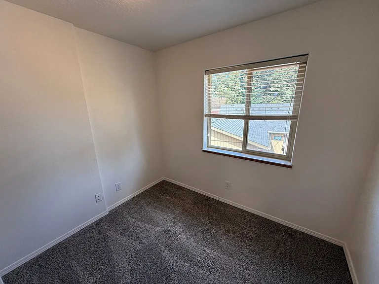The Firs Apartments — Photo 61