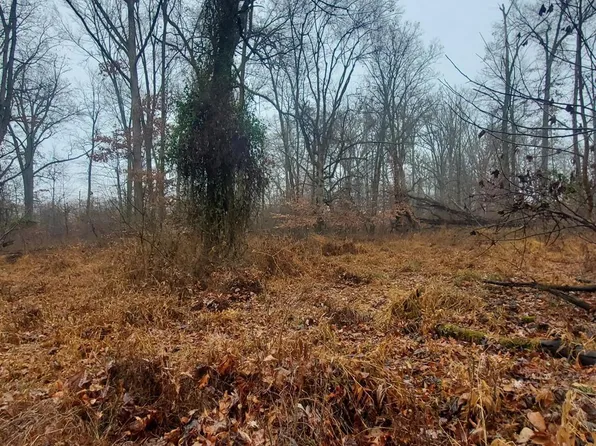 0 Custer Dr, Sardinia, OH 45171