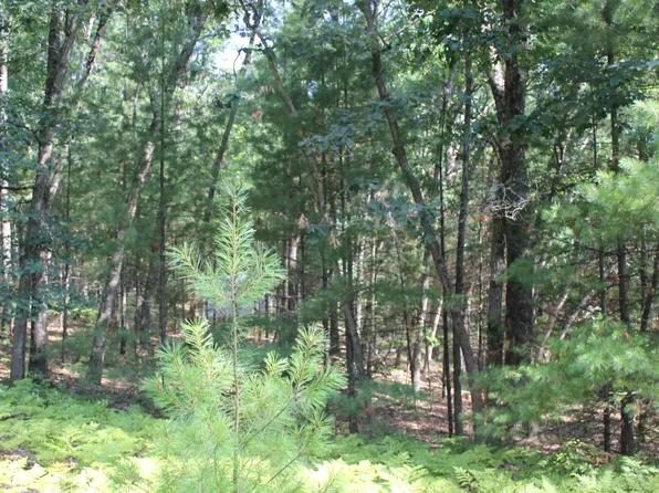 8212 W Goldenrod Ave, Baldwin, MI 49304