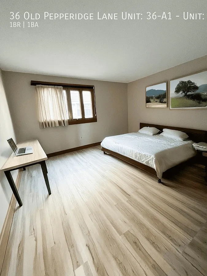 1 bed, $1,650 — Photo 2