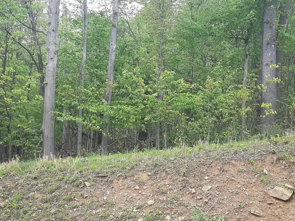 0 Scanlon Hill Rd, Lilly, PA 15938