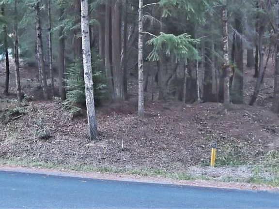 5th image of 25033 Brooktrails Dr
