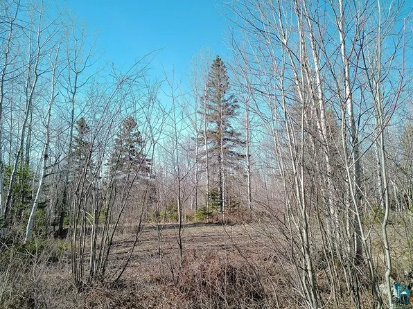 2XX Overlook Trl, Tofte, MN 55615