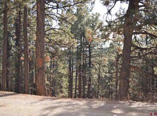 766 Hilltop Dr, Bayfield, CO 81122