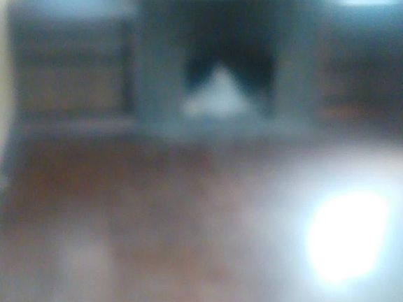 needs cleaned- living room with fireplace which has a sunroo