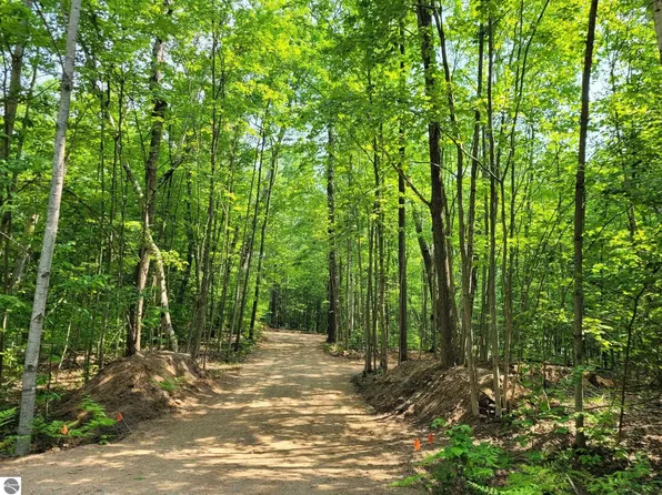 10 & 11 Uphill Grade, Leroy, MI 49655
