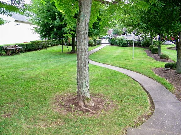 meandering walkway