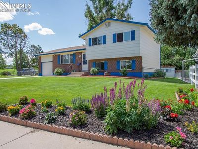 4453 N Blissful Cir, Colorado Springs, CO, 80917