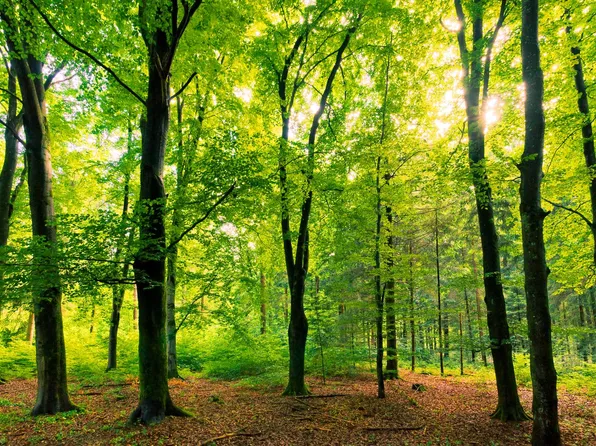 https://photos.zillowstatic.com/fp/2817360b172dd2e5ebec900e9103c3e7-p_e.webp